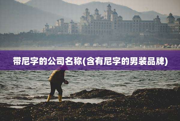 带尼字的公司名称(含有尼字的男装品牌)