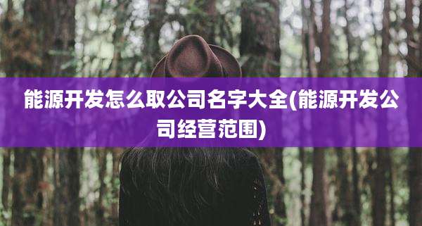 能源开发怎么取公司名字大全(能源开发公司经营范围)