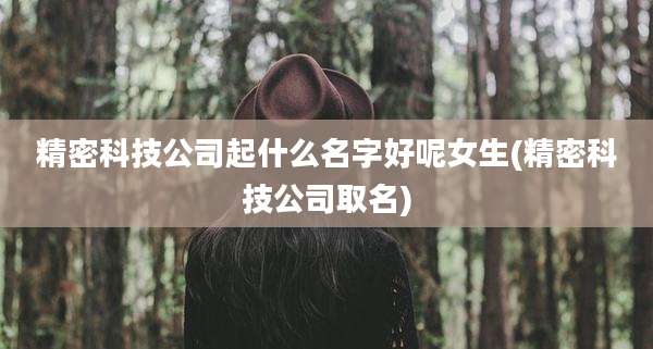 精密科技公司起什么名字好呢女生(精密科技公司取名)