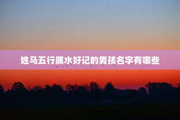 姓马五行属水好记的男孩名字有哪些