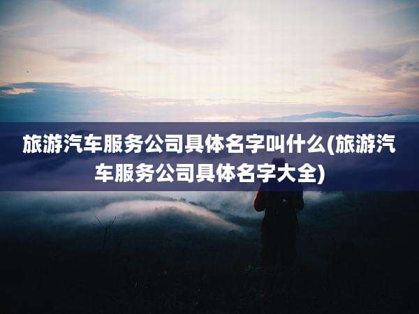 旅游汽车服务公司具体名字叫什么(旅游汽车服务公司具体名字大全)