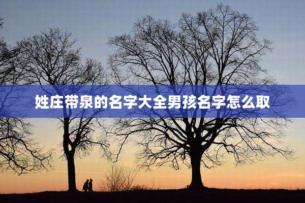 姓庄带泉的名字大全男孩名字怎么取