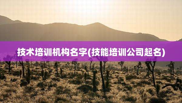 技术培训机构名字(技能培训公司起名)