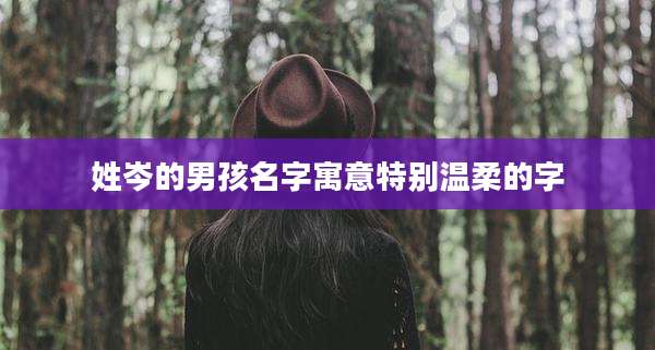 姓岑的男孩名字寓意特别温柔的字