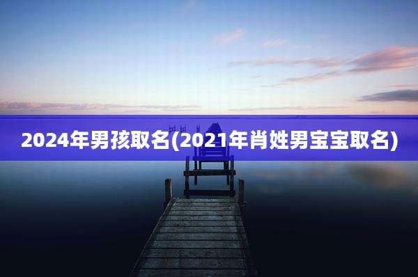 2024年男孩取名(2021年肖姓男宝宝取名)