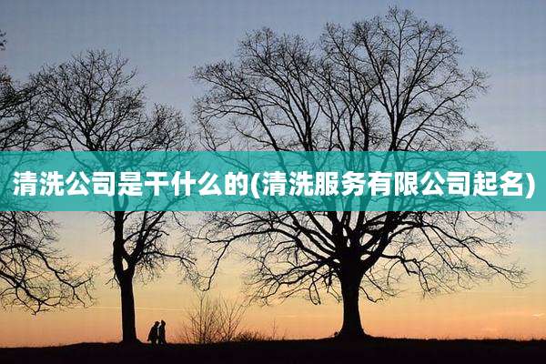 清洗公司是干什么的(清洗服务有限公司起名)