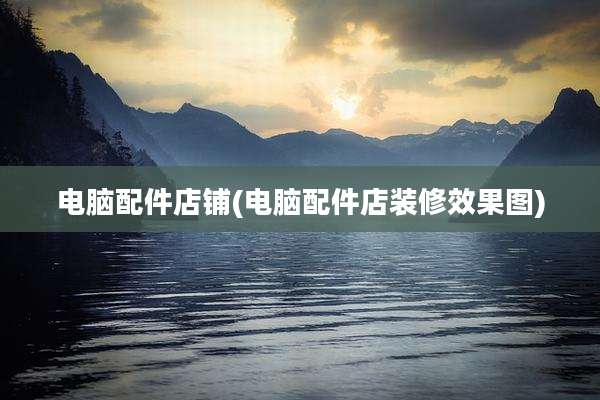 电脑配件店铺(电脑配件店装修效果图)