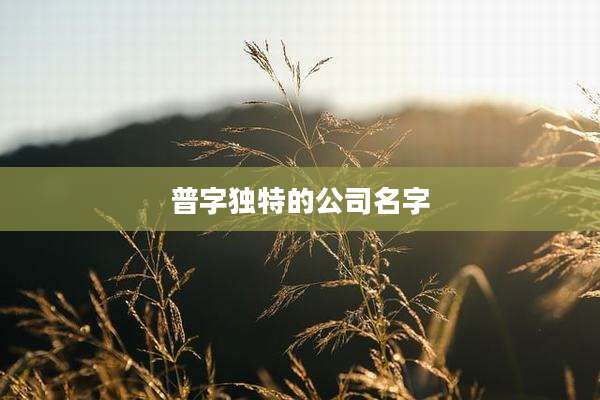 普字独特的公司名字