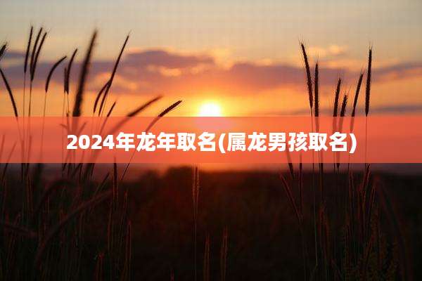 2024年龙年取名(属龙男孩取名)
