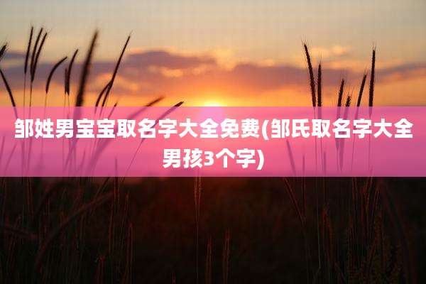 邹姓男宝宝取名字大全免费(邹氏取名字大全男孩3个字)