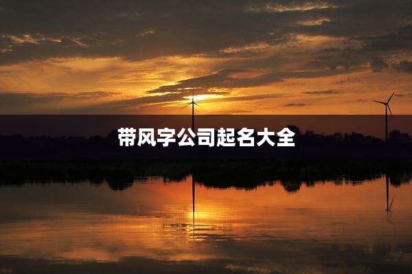 带风字公司起名大全