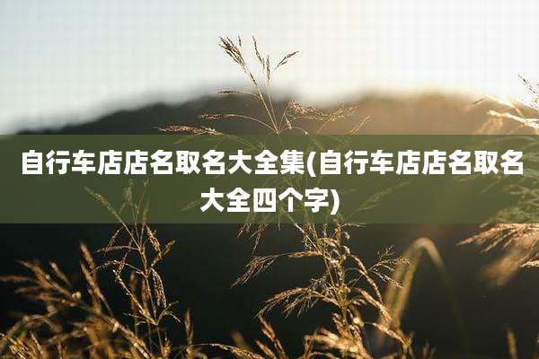 自行车店店名取名大全集(自行车店店名取名大全四个字)