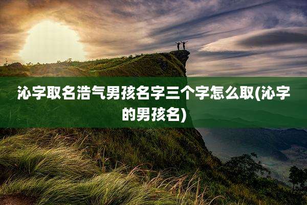 沁字取名浩气男孩名字三个字怎么取(沁字的男孩名)