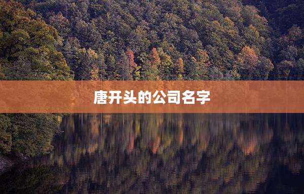 唐开头的公司名字
