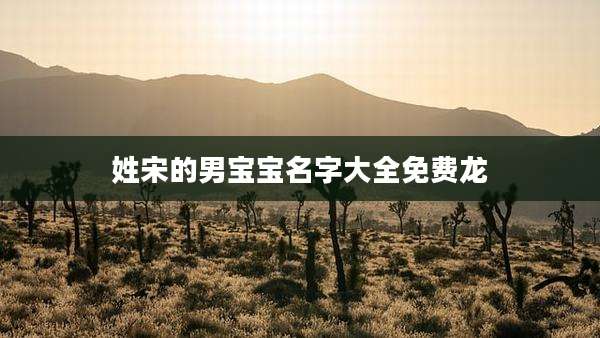 姓宋的男宝宝名字大全免费龙