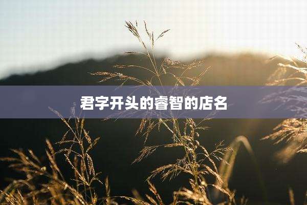 君字开头的睿智的店名