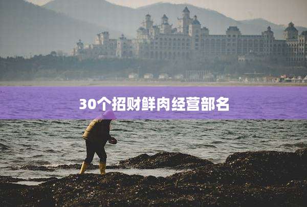 30个招财鲜肉经营部名