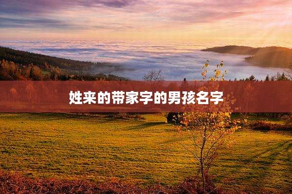 姓来的带家字的男孩名字
