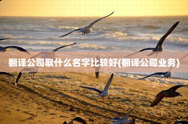 翻译公司取什么名字比较好(翻译公司业务)