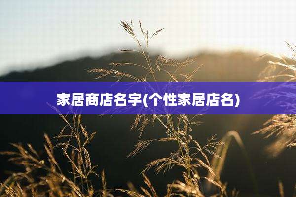 家居商店名字(个性家居店名)
