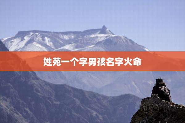 姓苑一个字男孩名字火命