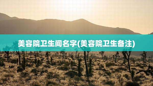 美容院卫生间名字(美容院卫生备注)