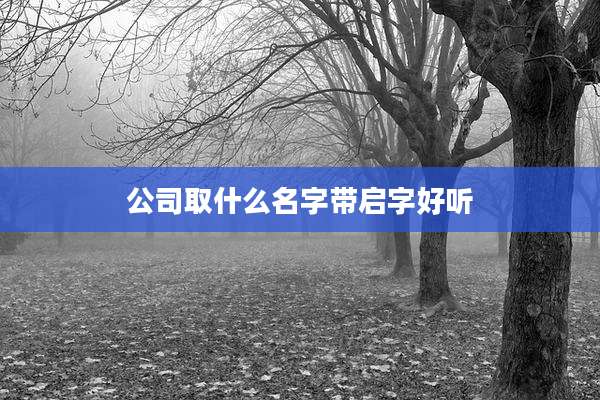 公司取什么名字带启字好听