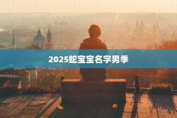 2025蛇宝宝名字男季