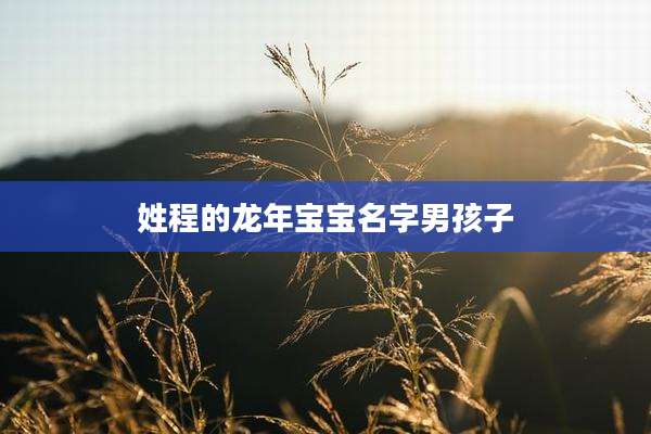 姓程的龙年宝宝名字男孩子