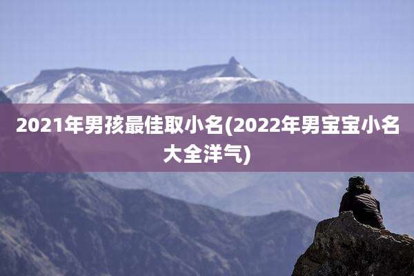 2021年男孩最佳取小名(2022年男宝宝小名大全洋气)