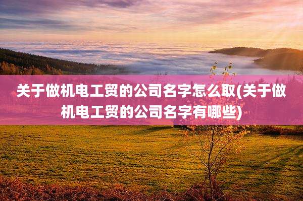 关于做机电工贸的公司名字怎么取(关于做机电工贸的公司名字有哪些)