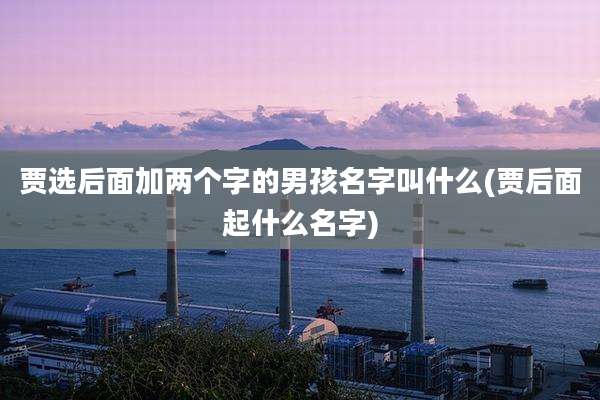 贾选后面加两个字的男孩名字叫什么(贾后面起什么名字)