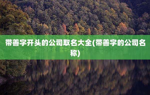 带善字开头的公司取名大全(带善字的公司名称)