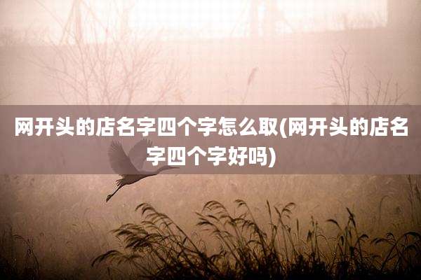 网开头的店名字四个字怎么取(网开头的店名字四个字好吗)