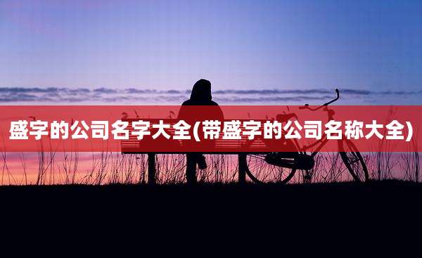 盛字的公司名字大全(带盛字的公司名称大全)