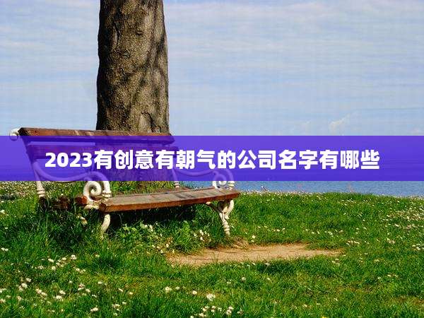 2023有创意有朝气的公司名字有哪些