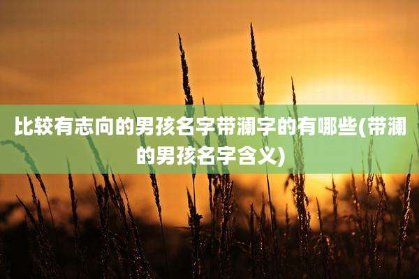 比较有志向的男孩名字带澜字的有哪些(带澜的男孩名字含义)