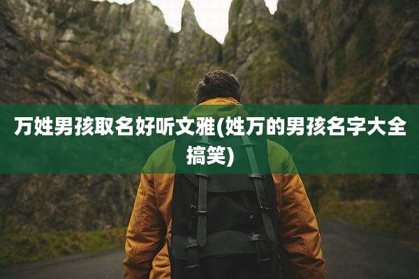 万姓男孩取名好听文雅(姓万的男孩名字大全搞笑)