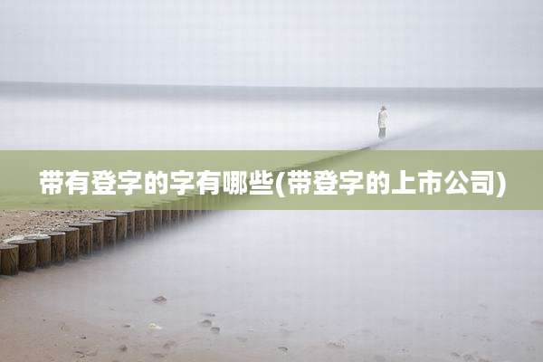 带有登字的字有哪些(带登字的上市公司)