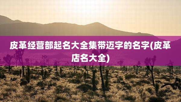 皮革经营部起名大全集带迈字的名字(皮革店名大全)