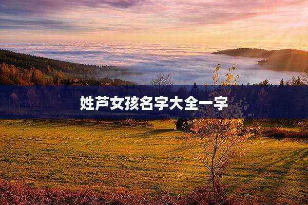 姓芦女孩名字大全一字