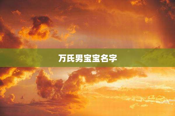 万氏男宝宝名字