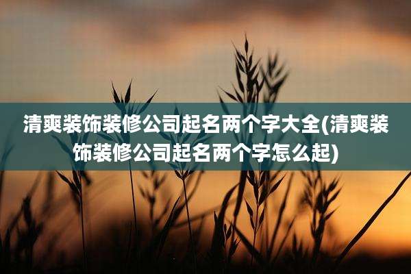 清爽装饰装修公司起名两个字大全(清爽装饰装修公司起名两个字怎么起)