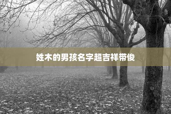 姓木的男孩名字超吉祥带俊
