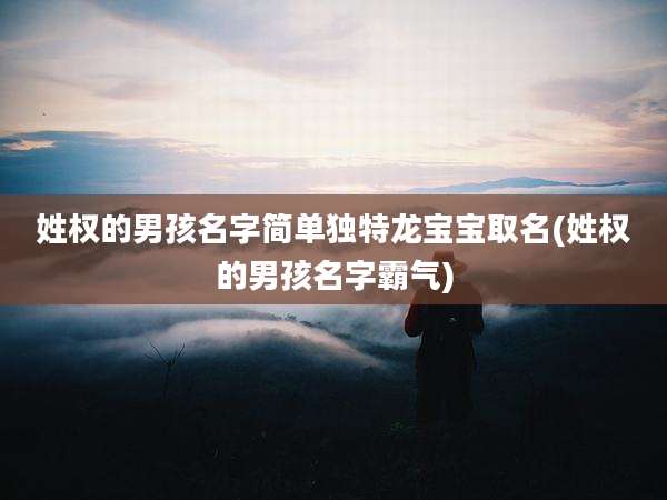 姓权的男孩名字简单独特龙宝宝取名(姓权的男孩名字霸气)
