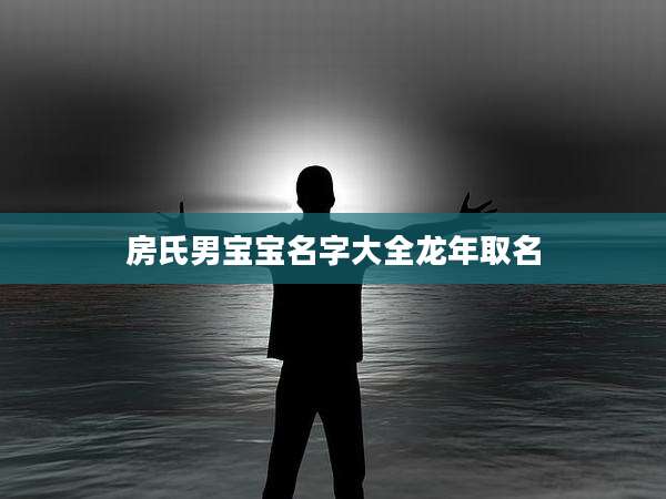 房氏男宝宝名字大全龙年取名