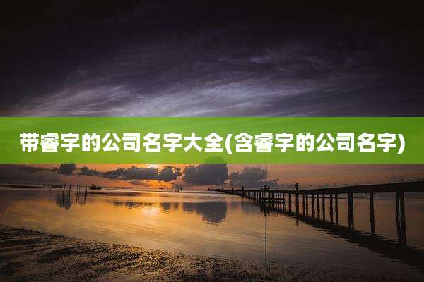 带睿字的公司名字大全(含睿字的公司名字)