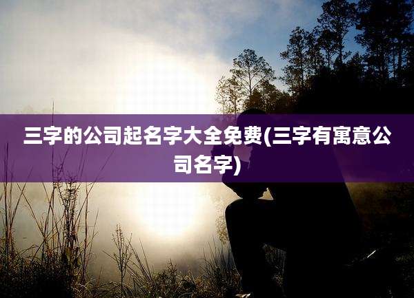 三字的公司起名字大全免费(三字有寓意公司名字)