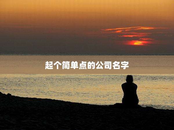 起个简单点的公司名字