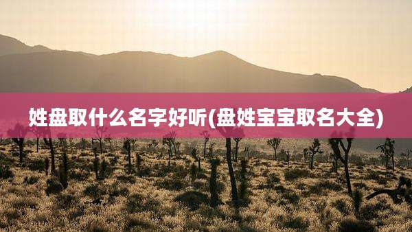 姓盘取什么名字好听(盘姓宝宝取名大全)